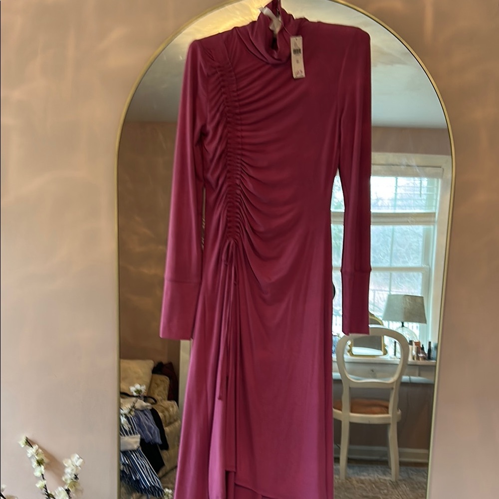 Anthropologie Elegant Pink Ruched Dress